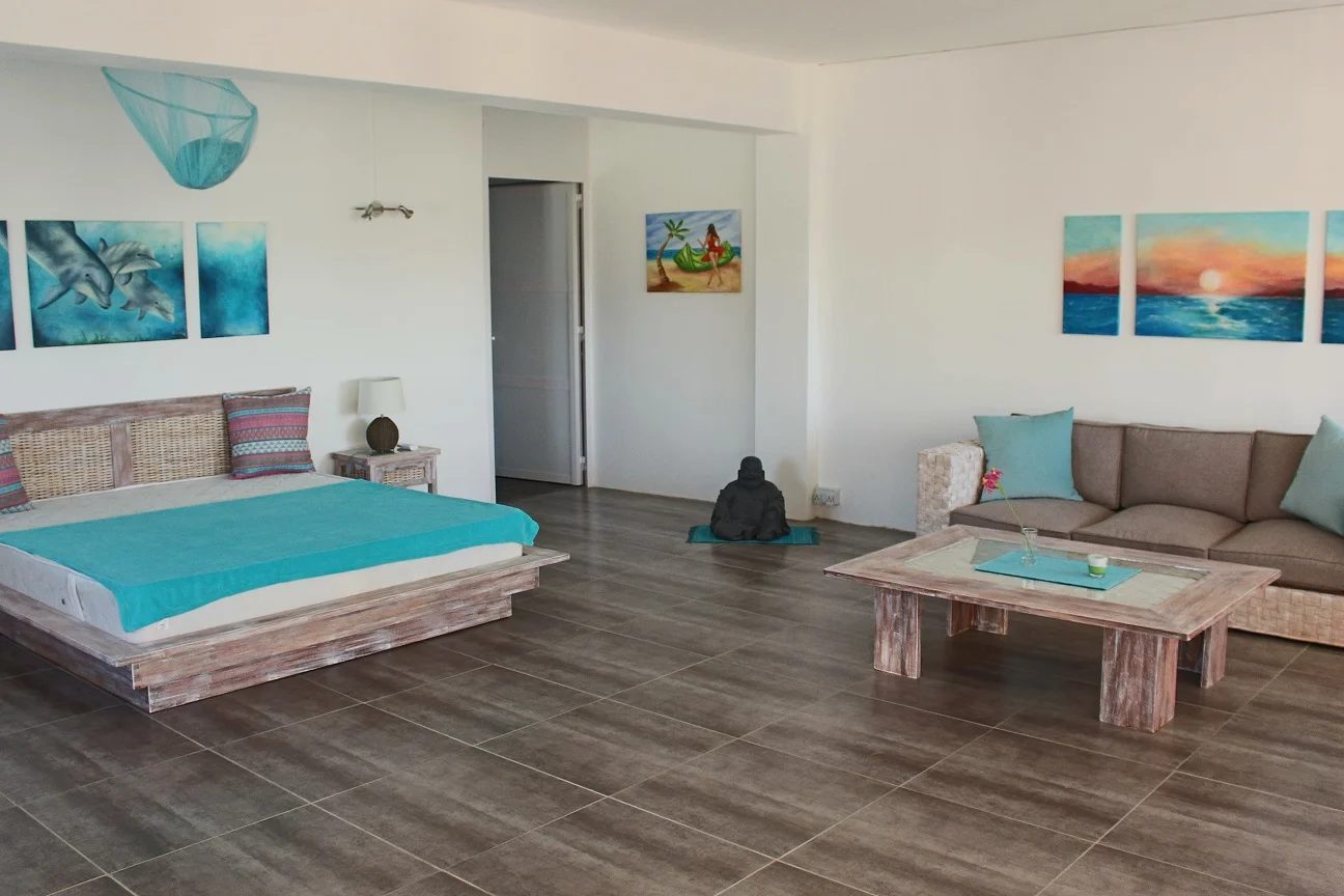 Living and sleeping area with king-size bed