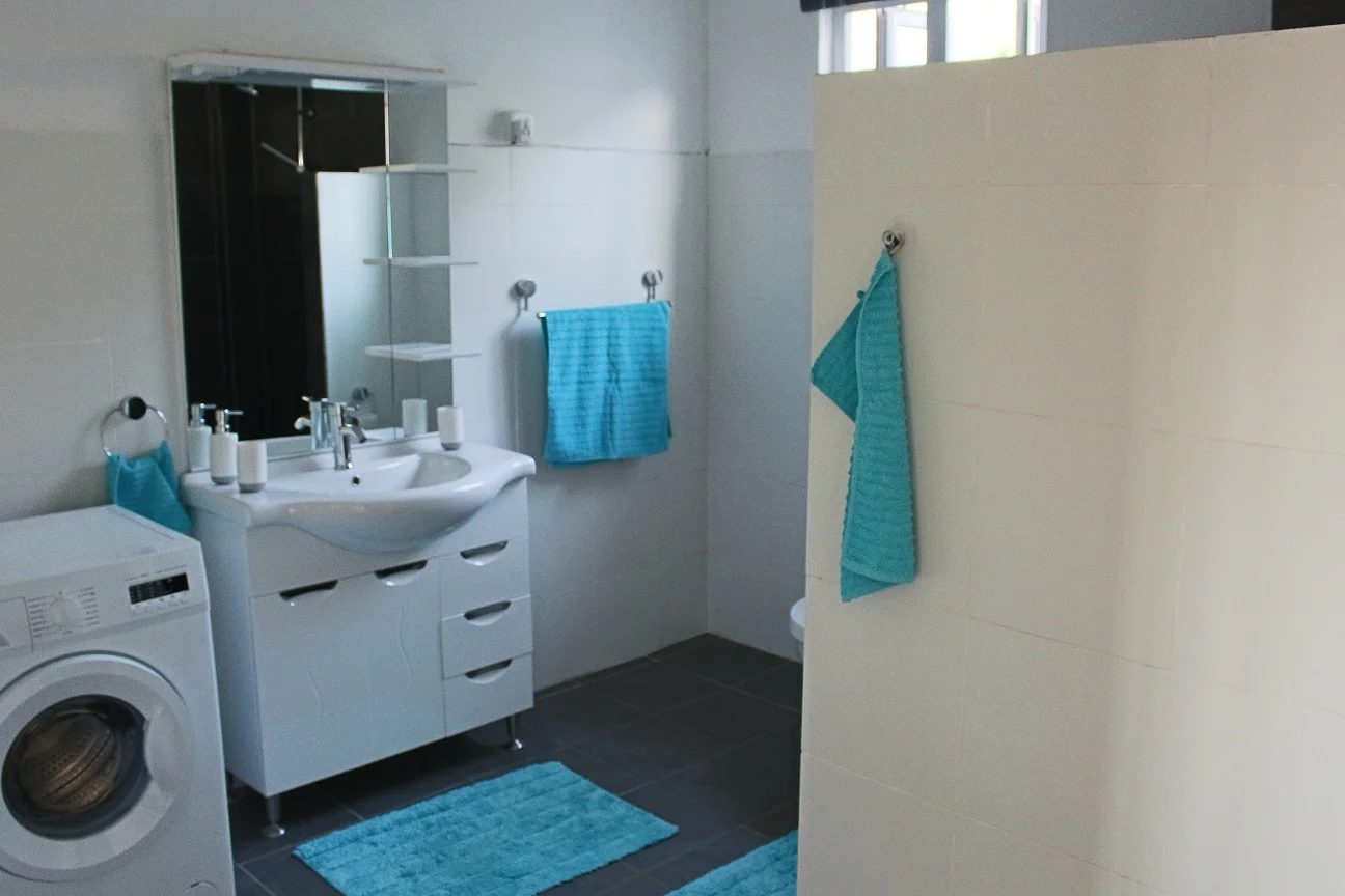 Bathroom with shower and washing machine